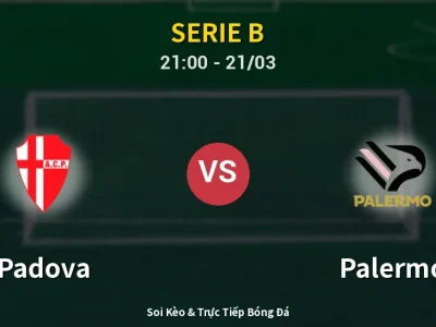 🔴 Trực Tiếp: Padova 0-0 Palermo – Link Xem Serie B (Full HD)