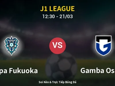 Soi Kèo Avispa Fukuoka vs Gamba Osaka – 12:30 21/03 | Nhận Định, Dự Đoán Tỷ Số