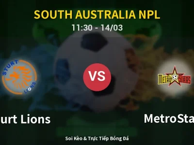 Kết Quả: Sturt Lions 0-1 MetroStars – Highlight & Bàn Thắng | South Australia NPL